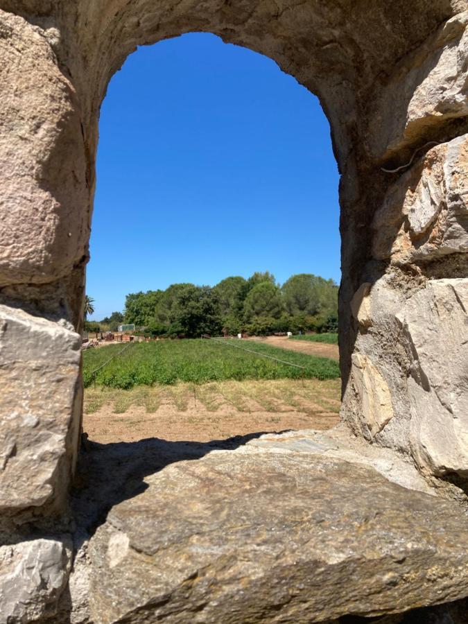 Gite Encore Un Soir Hyères Exterior foto